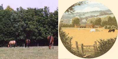 Англия и вышивка. Вокруг Лондона.