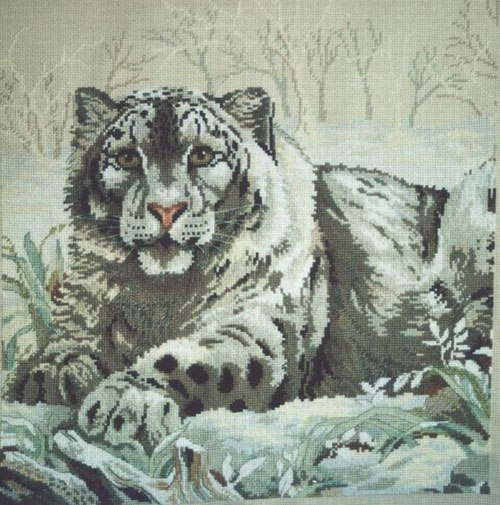 Snow Leopard. Dimensions.