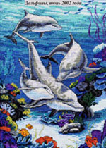 Dolphins Domain. Dimensions.