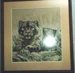 Snow Leopard. Dimensions.