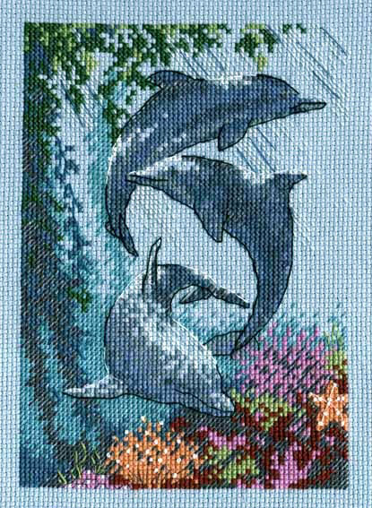 Трио Дельфинов. Dimensions