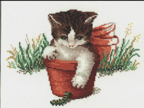 Котенок. DMC.